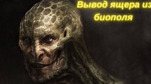 Вывод ящера из биополя. Работа с нашим клиентом