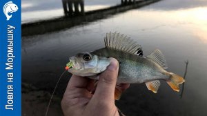 Ловля на мормышку Летом, открытие сезона