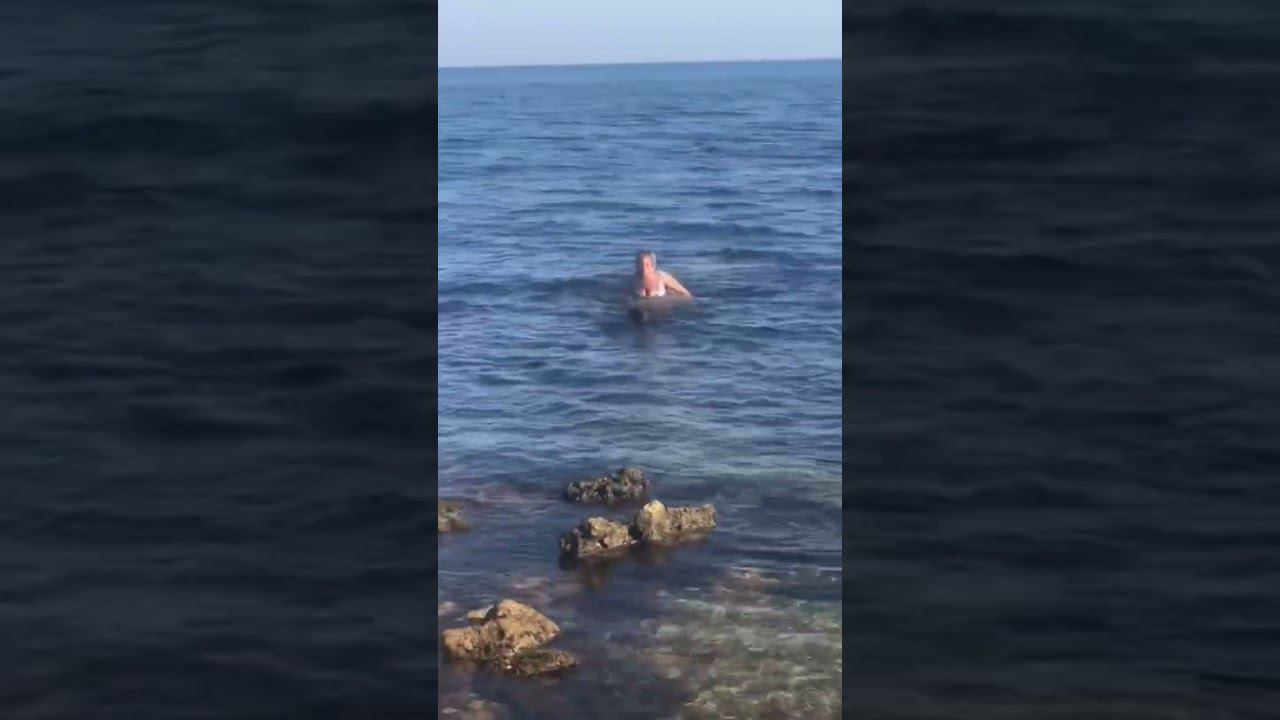 собаки на море #виделивидео #кошкиндом #моипитомцы #моясобака #дрессировкасобаки #домвдеревне