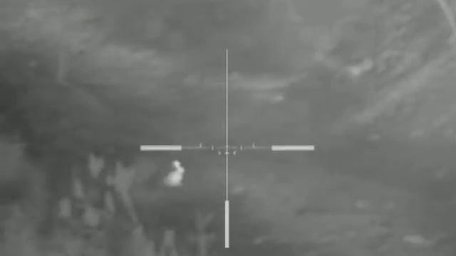 hare 1 смотреть онлайн