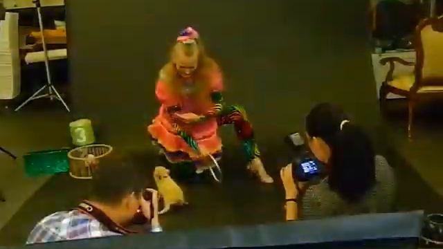 Дрессированный поросенок, Москва смотреть онлайн