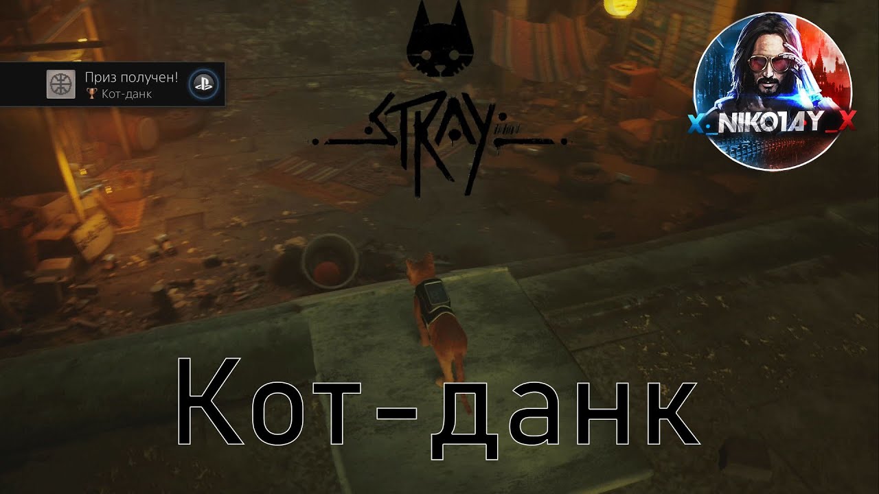 Stray Забросьте мяч в корзину [Boom Chat Kalaka _ Кот-данк]