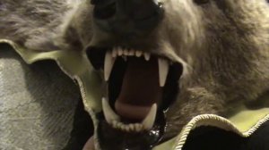 Шкура медведя