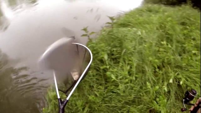 Fishing with DUO #52: Chubtastic смотреть онлайн