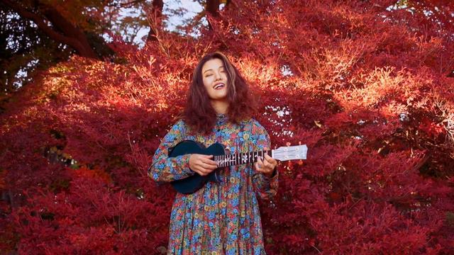 Tonight You Belong To Me (Hermonized) | Ukulele Cover смотреть онлайн