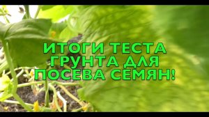 ГРУНТ ДЛЯ ПОСЕВА СЕМЯН! ИТОГИ ТЕСТА