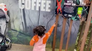 Day out at Melbourne Zoo with kids | Royal Melbourne Zoo 2022 |