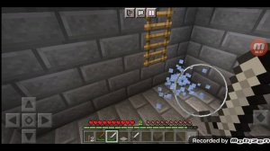 Меня посадили в тюрьму 24 часа?