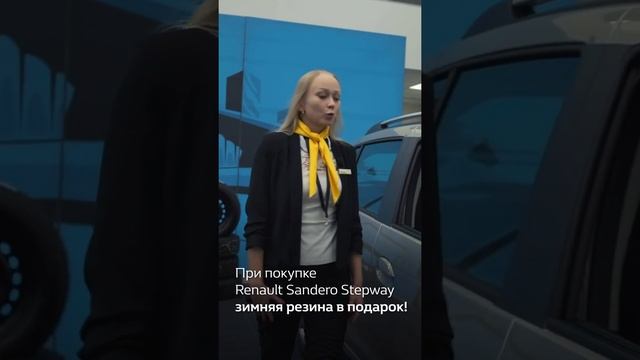 Зимняя резина на Renault Sandero Stepway в ПОДАРОК!