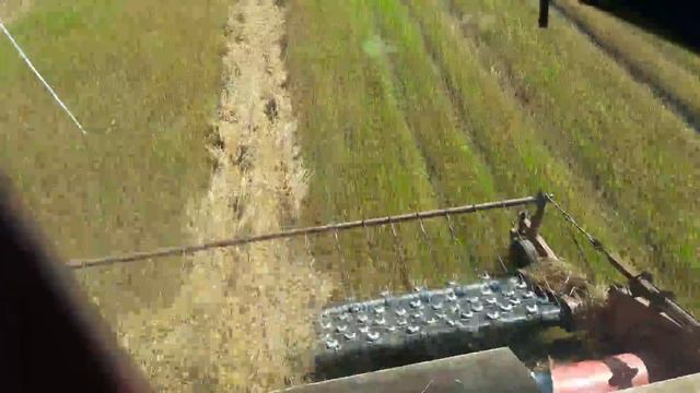 Обмолот зерновых комбайн полесье 812 смотреть онлайн