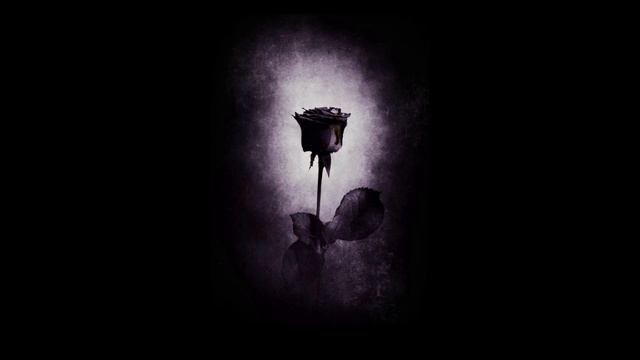 Black Kelly - Black Rose (FREEBEAT)