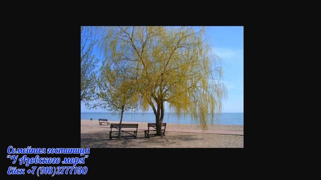 Магия города ЕЙСКА. Что привлекает туристов на курорт?