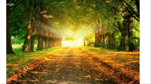 Внимание - это энергия/ Онлайн тренинг 'Обновление души' 14 день смотреть онлайн