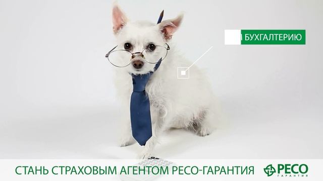 Хотите получать дополнительный доход? смотреть онлайн