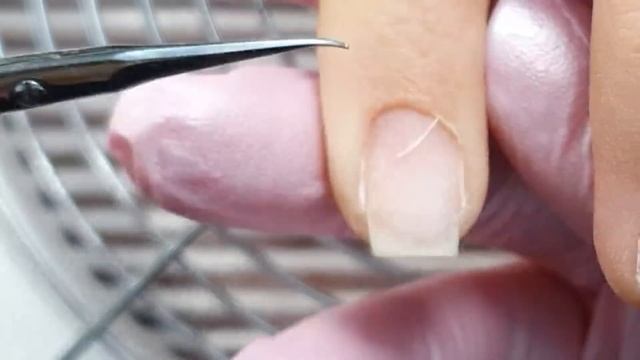 Не заметила и перепилила? смотреть онлайн