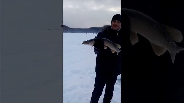 На реке Кова рыбалка смотреть онлайн