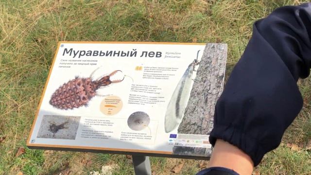 Экскурсия Новый веломаршрут / экотропа в Бресте ДОРОГА ЖИЗНИ