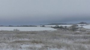 По пути в Юрьев-Польский (съёмка из окна маршрутки) (26.11.22)