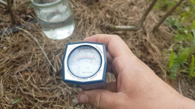 Прилади якими я вимірюю показники ph та ec на своїй посадці лохини смотреть онлайн