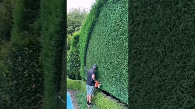 как называется профессия? садовник? #декор #шортс #красота #искусство смотреть онлайн