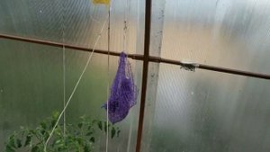 Часть 4 / Выбираем и проверяем на прочность поликарбонат / Сравнение теплиц / Выгодная покупка