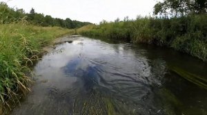 Ловля ельца на мушку. Рыбалка на малой реке. Нахлыст.