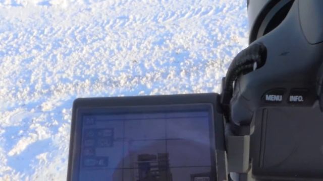 Лети лепесток за заваленный горизонт смотреть онлайн