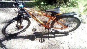 Stinger Aragon 24