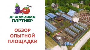 ОБЗОР ОПЫТНОЙ ПЛОЩАДКИ АГРОФИРМЫ "ПАРТНЕР"