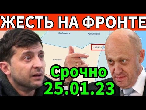 Кот не Скот !