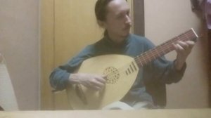 лютневая гитара. металлические струны