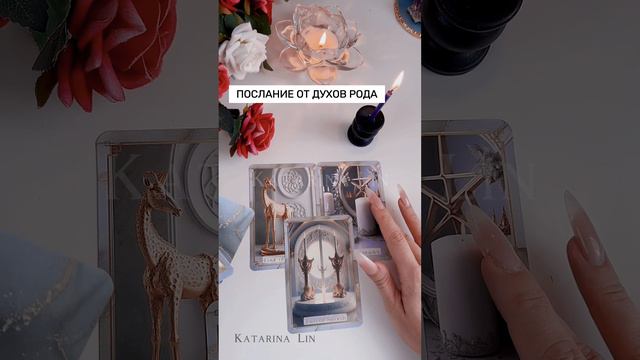 🕊️🤍 ПОСЛАНИЕ ОТ  РОДА 🕊️🤍 #таро #посланиеотрода #раскладтаро