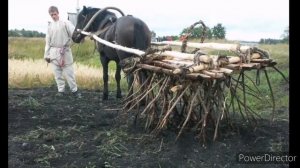 Народный календарь. 13 августа - Евдокимов день.