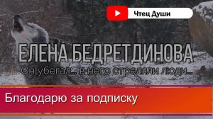 Стих  Он убегал... в него стреляли люди... , Автор  Елена Бедретдинова