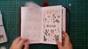 Мой Мидори. Как я оформляю свой ежедневник/TN Planner Set up