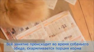 Оперантное научение: как это работает