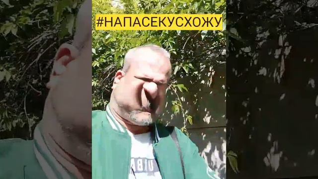 #НАПАСЕКУСХОЖУ