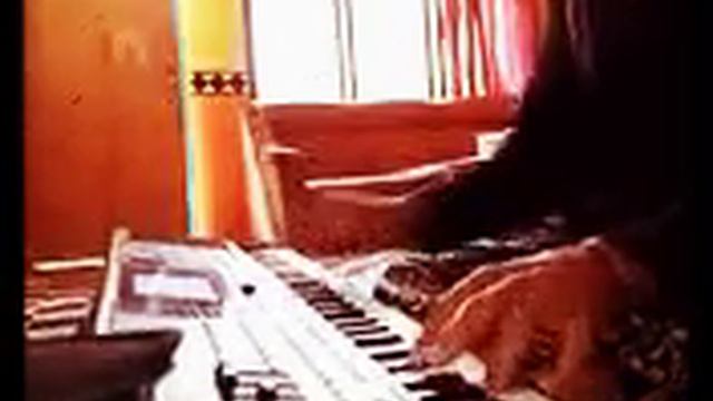 instrumen korg MA смотреть онлайн