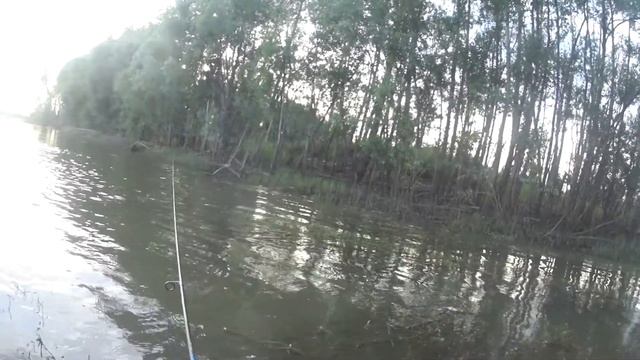 Рыбалка Новообинцево