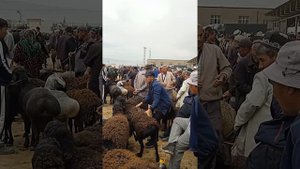 Молбозори Эшбек сатор. Н дусти.