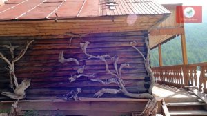 4. АЛТАЙ. ГОРА БЕЛУХА. ОРОКТОЙСКАЯ ТРОПА. ЗАВЕРШЕНИЕ.