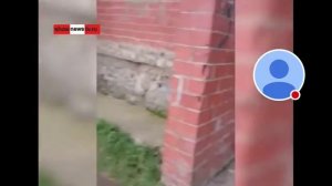 Смотрим видео как зрослые  люди орут на ребёнка