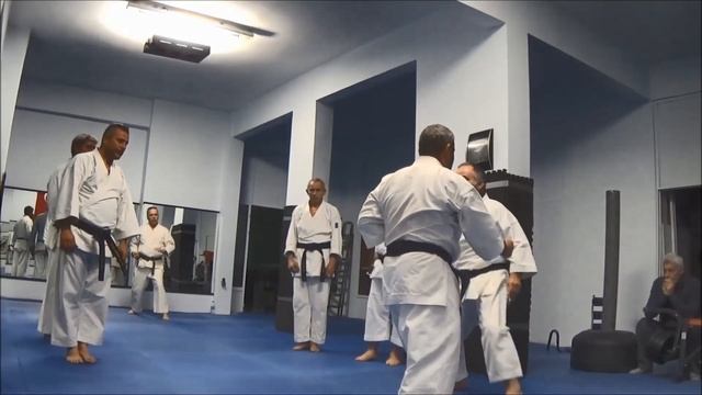Shihan Yavuz OKUR Shotokan KARATE - 32