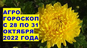 Агрогороскоп с 28 по 31 октября 2022 года