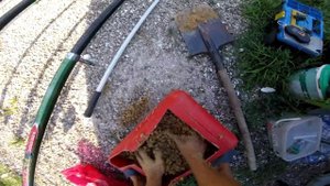ЛОВЛЯ КАРПА на кукурузу летом