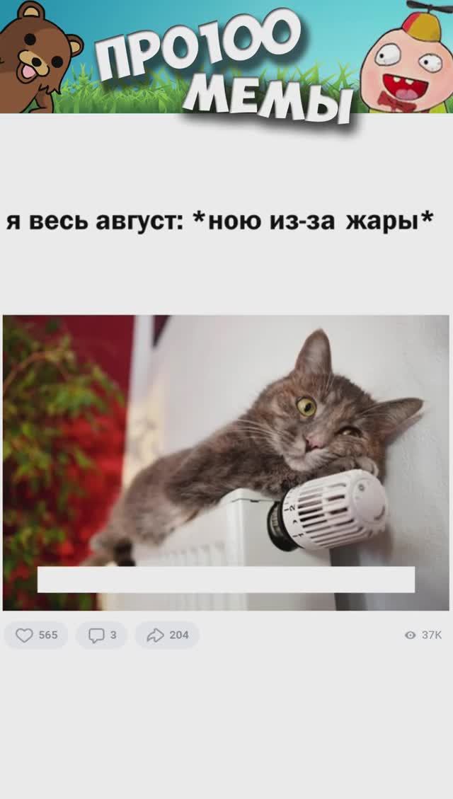 Озвученные мемы. Мемы для озвучки. Коты мемы. Кот Мем.