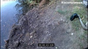 Линь на килограмм на удочку