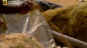 азиатское цунами.national geographic