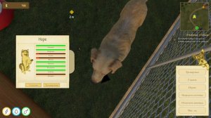 Animal Trainer Simulator Prologue. Дрессировщик животных