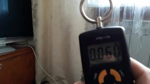 Ломан Браун вес суточного цыплёнка